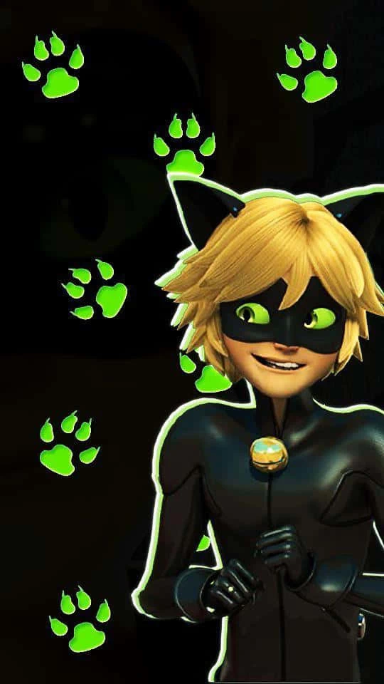Cat Noir bekannt aus Miraculous Ladybug buchen in München und Umgebung
